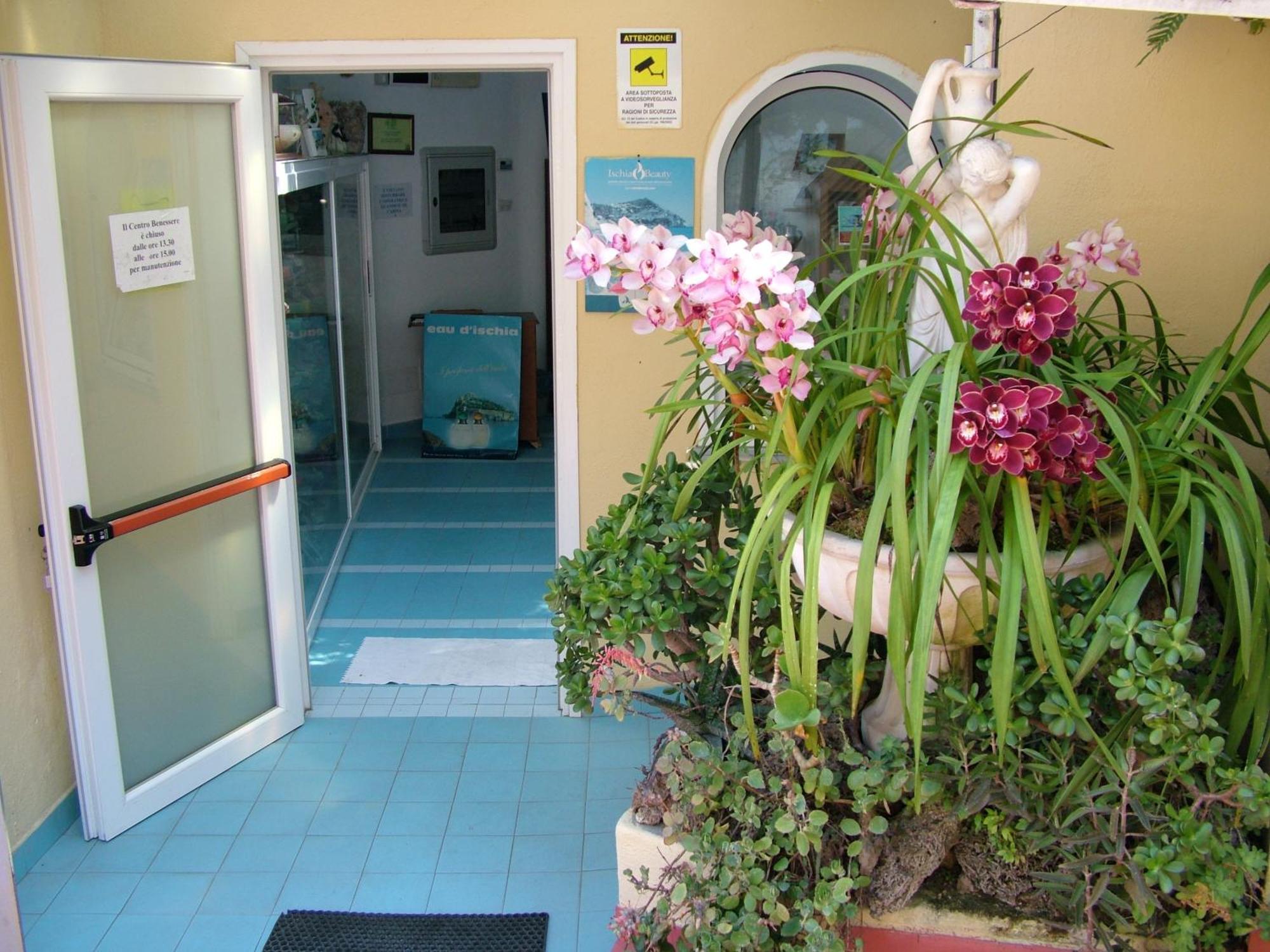 Hotel Giardino Delle Ninfe E La Fenice Isquia Exterior foto